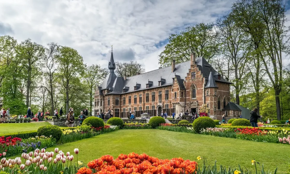 9ebba61a-6f95-4e8e-bbc5-7729e03339ba